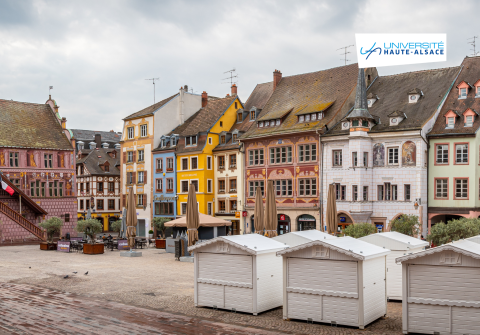 Workshop | Smart microgrids : leveraging HIL, digital twins and data optimization