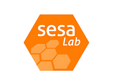 Logo of SESA Lab. The design features a bright orange hexagon with the text “sesa Lab” inside—“sesa” in bold black lowercase letters and “Lab” in italicized font. Below the text, a cluster of lighter orange hexagons suggests a honeycomb pattern, symbolizing collaboration or modular structure.